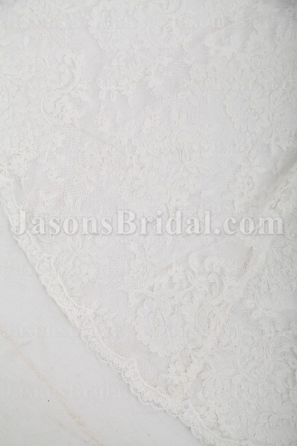 Fit-and-Flare Lace Wedding Dress Sleeveless Sheer Bodice Bateau Neck V-neck Waistband with Court Train