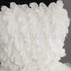 Short Length Little White Chiffon Wedding Dress Strapless Beaded Embellished Textured Ruffled Skirt